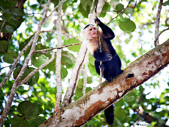 10 Exclusive Adventures You Can Only Experience in Costa Rica